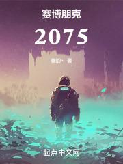 赛博朋克：2075